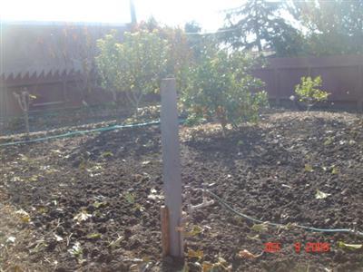 531 E St, Los Banos, CA 93635 photo 8