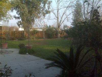2876 Dennis Ave, Clovis, CA 93611 photo 11