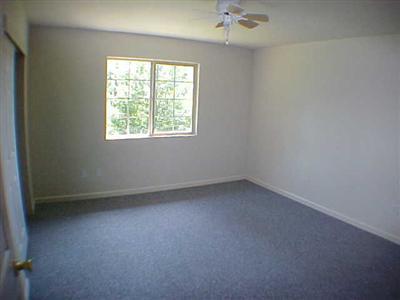 6556 Yankee John Ct, Placerville, CA 95667 photo 6