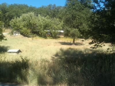 10047 Daniels Way, Grass Valley, CA 95949 photo 5