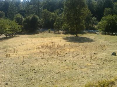 10047 Daniels Way, Grass Valley, CA 95949 photo 4