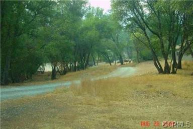 1462 Wingdam Rd, Murphys, CA 95247 photo 3