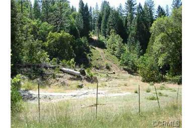 2441 Lily Gap Rd, West Point, CA 95255 photo 4