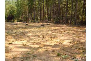 2441 Lily Gap Rd, West Point, CA 95255 photo 9