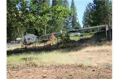 2441 Lily Gap Rd, West Point, CA 95255 photo 6