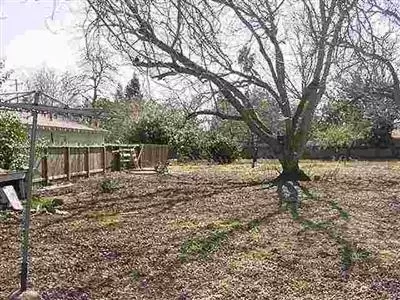 975 Ellene Ave, Chico, CA 95926 photo 6