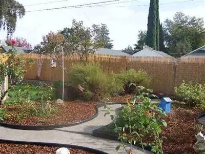 986 Vermont St, Gridley, CA 95948 photo 9