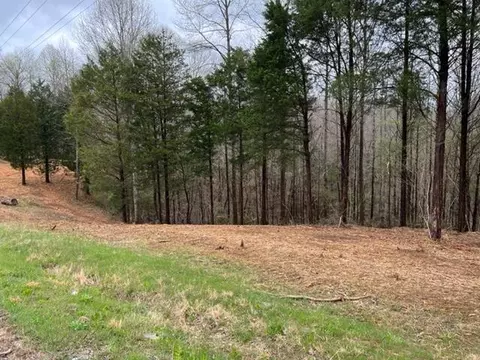 lot1 Willow Grove Hwy, Allons, TN 38541