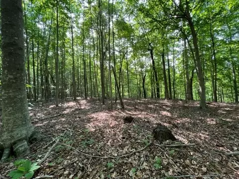 10 97 Ac H R Huffer Ln, Allons, TN 38541