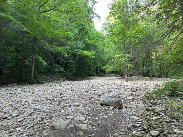 lot43 E Bobcat Ln  