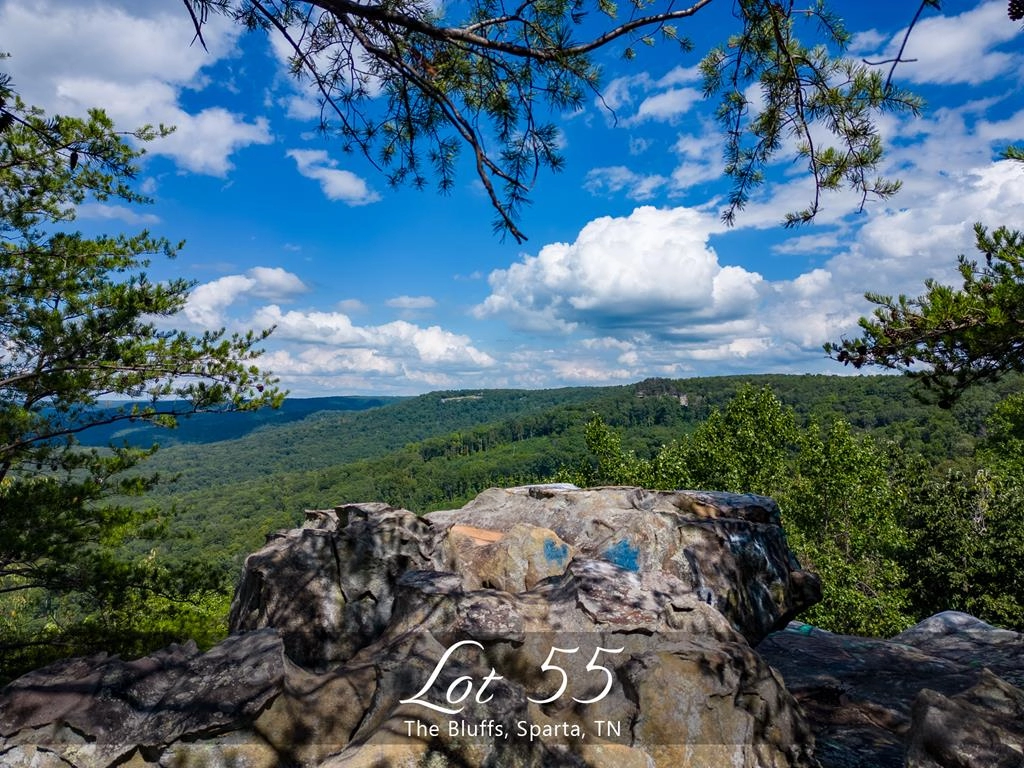 Lot 55 High Rock The Lfs  