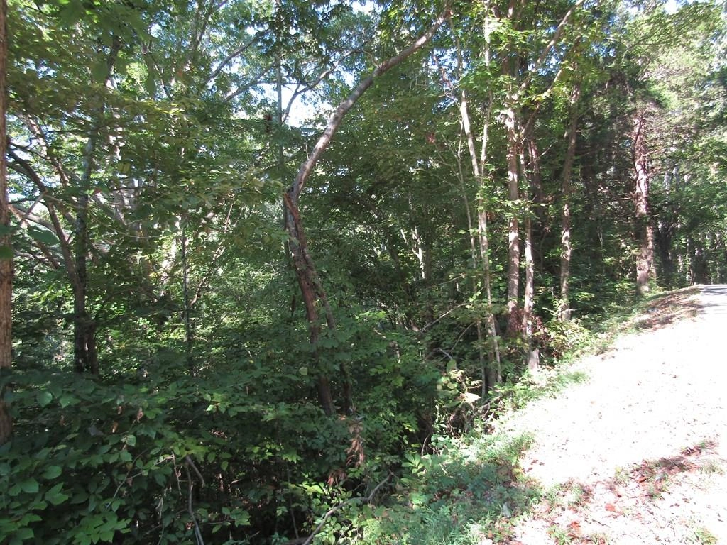 0 40 Ac Cedar Hl Rd  