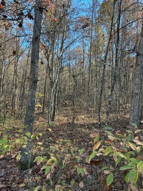 lot94 Parkstown Rd  
