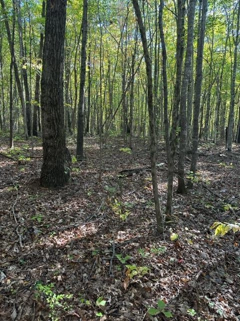 Lot 95 Parkstown Rd  