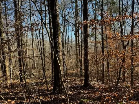 231 8 Ac New Hope Rd, Celina, TN 38551