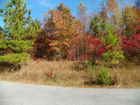 lot14 Overlook Dr, Spencer, TN 38585