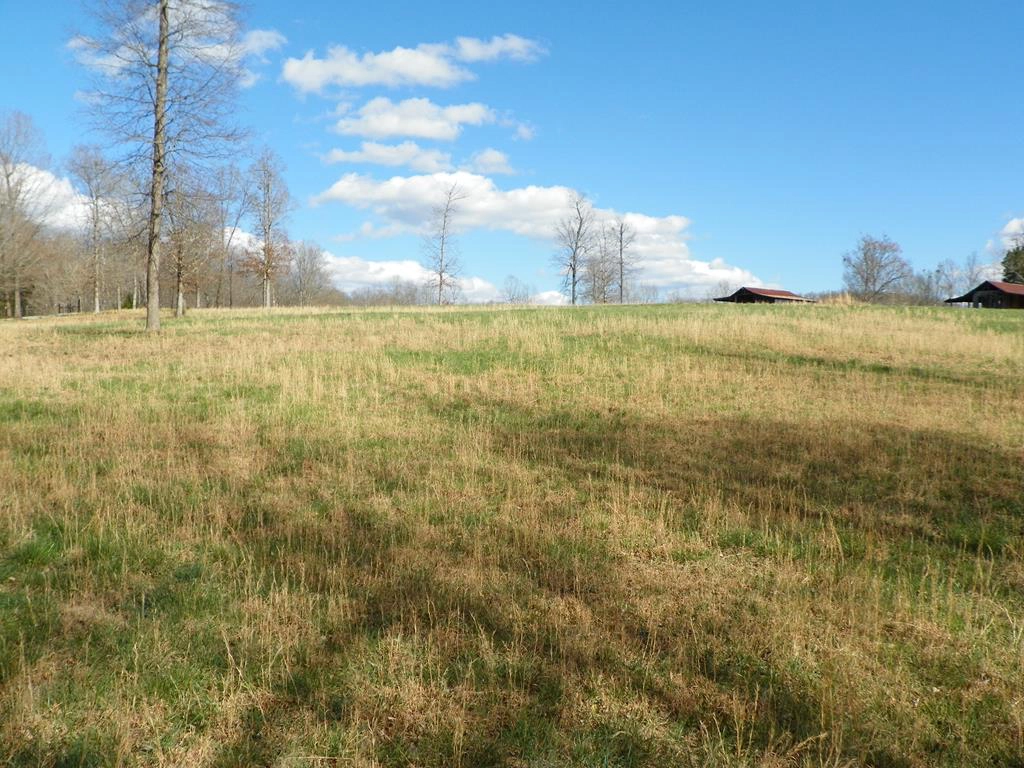 6 5 Ac Creed Wright Rd  