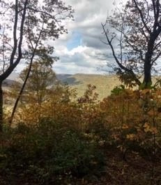 Lot 84 Buckeye Ln  