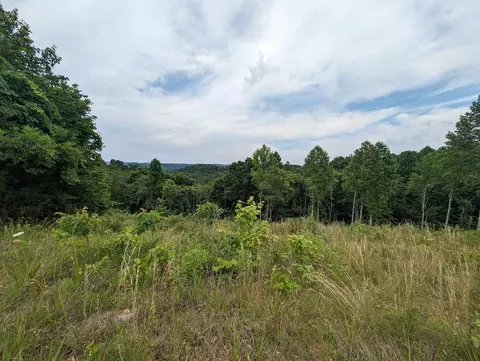 0 Stoney Point Rd, Byrdstown, TN 38549