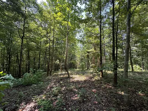 12 55ac Winningham Rd, Byrdstown, TN 38549