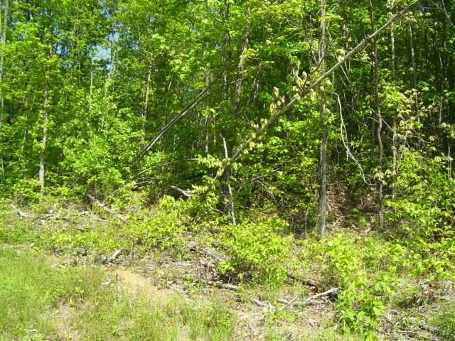 lot320 Hilltop Ln  