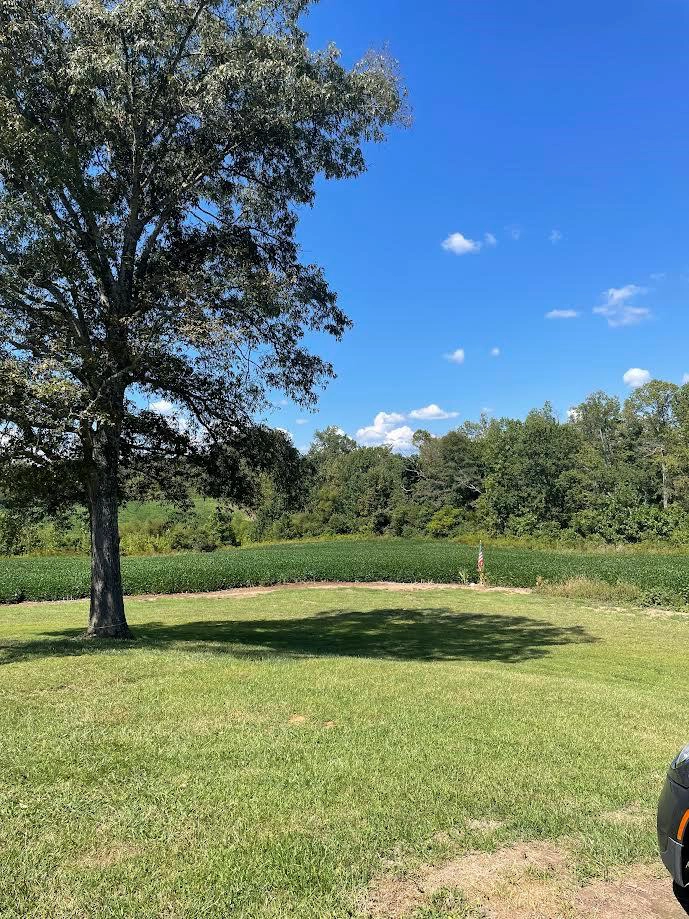 11 33 Ac Burgess Fls Rd