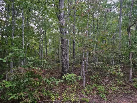 00 Sells Cemetery Rd, Wilder, TN 38589