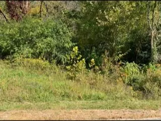 624 Thompson Creek Ln_lot 71, Cookeville, TN 38506