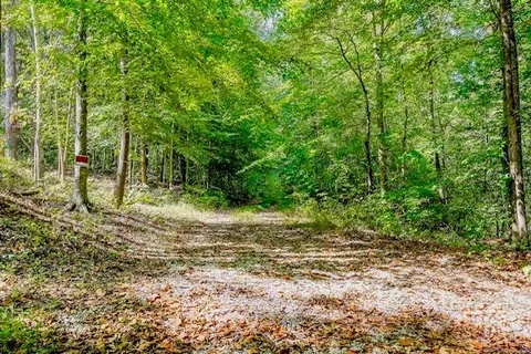 00 Bolestown Loop #LOT 1, Alpine, TN 38543