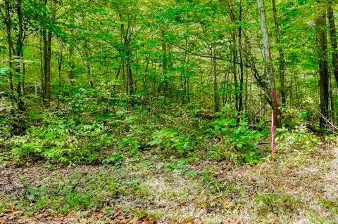 00 Bolestown Loop #LOT 2, Alpine, TN 38543