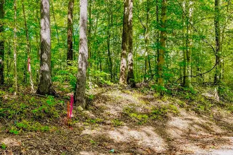 00 Bolestown Loop #LOT 3, Alpine, TN 38543