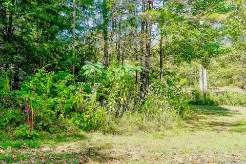 00 Bolestown Loop #LOT 4, Alpine, TN 38543