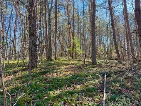 20 78 Ac B Armstrong Ln, Monterey, TN 38574