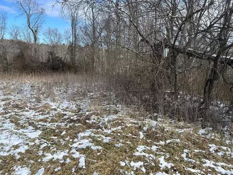 N/a Chapman Road, Jamestown, TN 38556