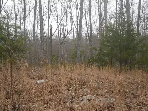 lot687 Jaguar Trl, Spencer, TN 38585