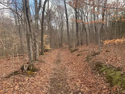 lot4 5 Peaceful Ln, Spencer, TN 38585