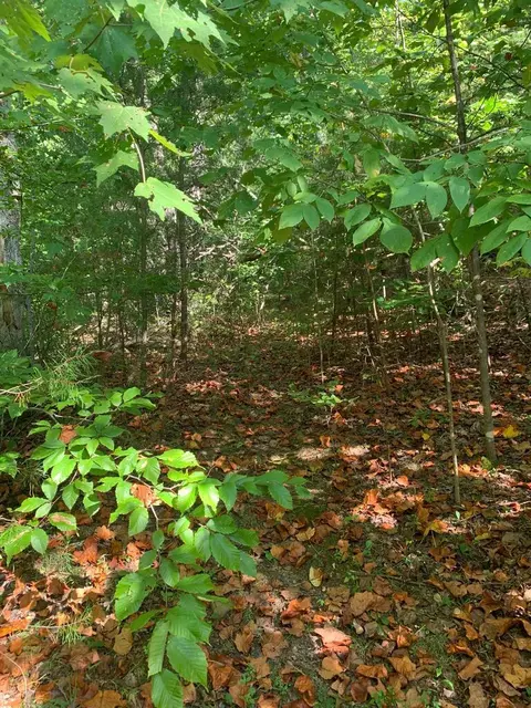 lot4 5 Peaceful Ln, Spencer, TN 38585