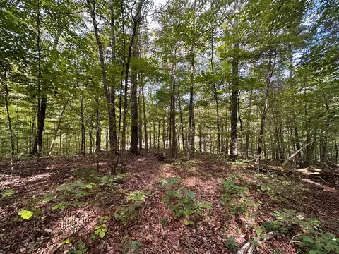 43 36 Ac Winningham Rd, Byrdstown, TN 38549