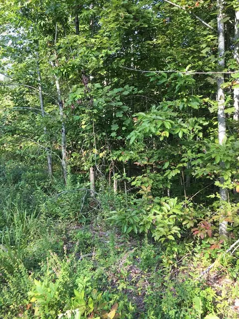 lot239 Hood Ln, Wilder, TN 38589