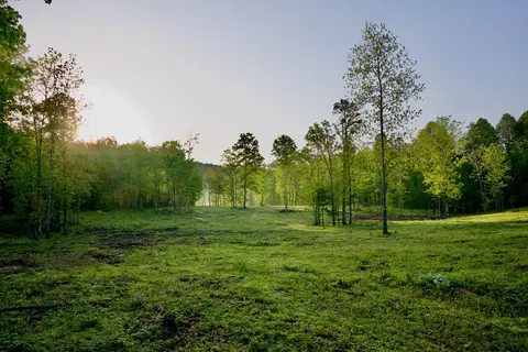 40 46ac Barker Cove Loop N Of, Palmer, TN 37365
