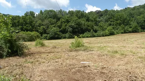 5 6ac Lonnie Reese Rd, Celina, TN 38551