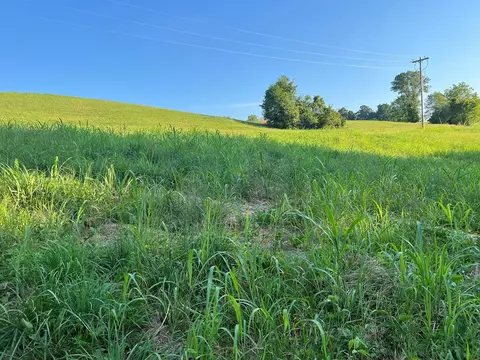 lot20 Amonett Cir, Byrdstown, TN 38549