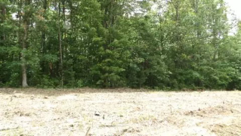 lot222 Hilltop Ln, Wilder, TN 38589