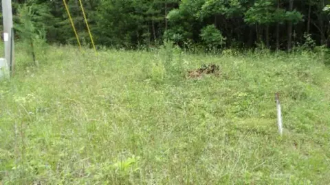 lot48 Parkstown Ext Rd, Wilder, TN 38589