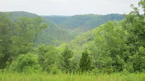 11071 River Dr, Crawford, TN 38554