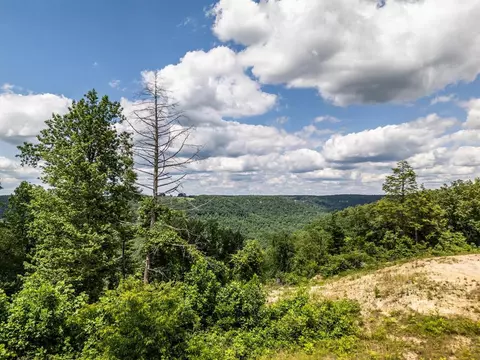 1 93ac Glenobey Rd, Jamestown, TN 38556