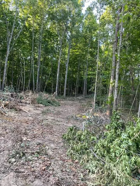 Na Veterans Lookout, Wilder, TN 38589