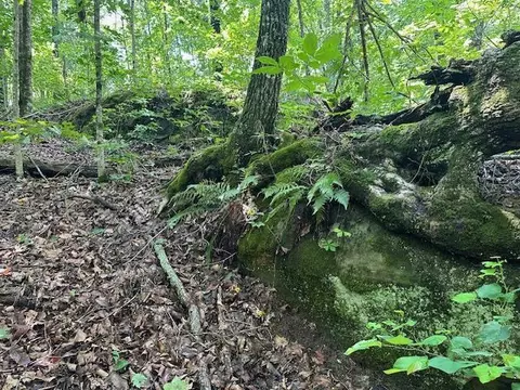 lot89 Bobcat Ln, Wilder, TN 38589
