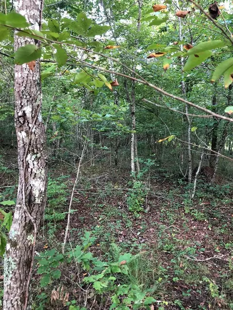 39 Luka Ln, Crossville, TN 38572