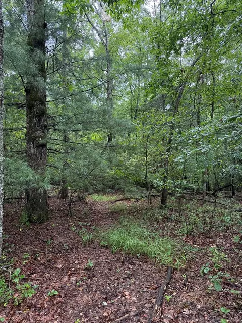 929 Kemah Ln, Crossville, TN 38572
